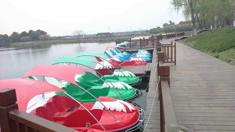 2人神州八號腳踏船