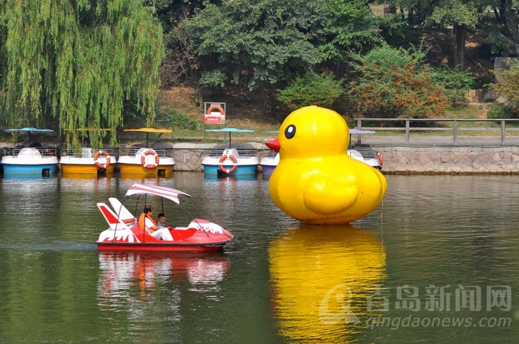 2人神州八號腳踏船