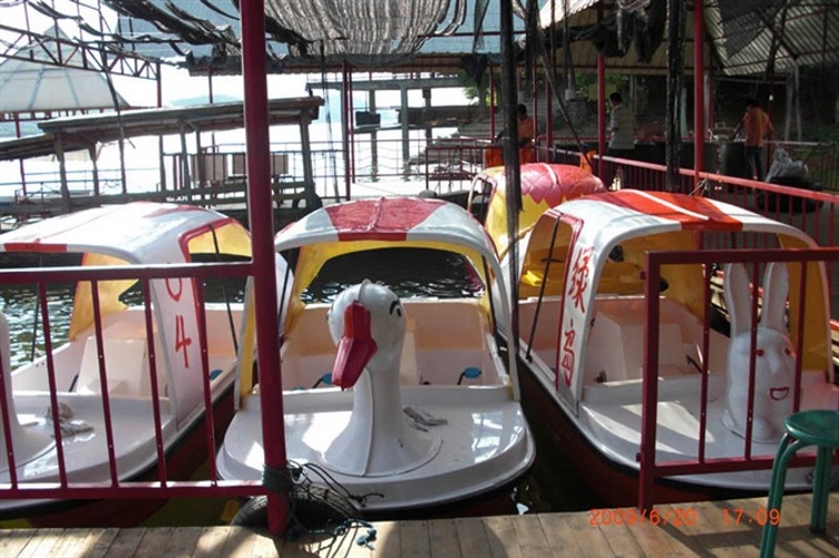 4人動(dòng)物腳踏船